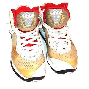 LeBron James 8 V2 Nike Air Max 2010-2011 YR NBA